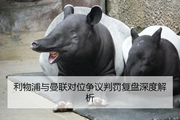 利物浦与曼联对位争议判罚复盘深度解析